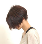 wAX^Cʐ^